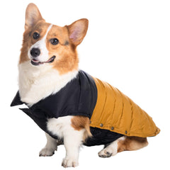 Space Lion chaqueta para perro, vista frontal, protección ligera para paseos diarios.