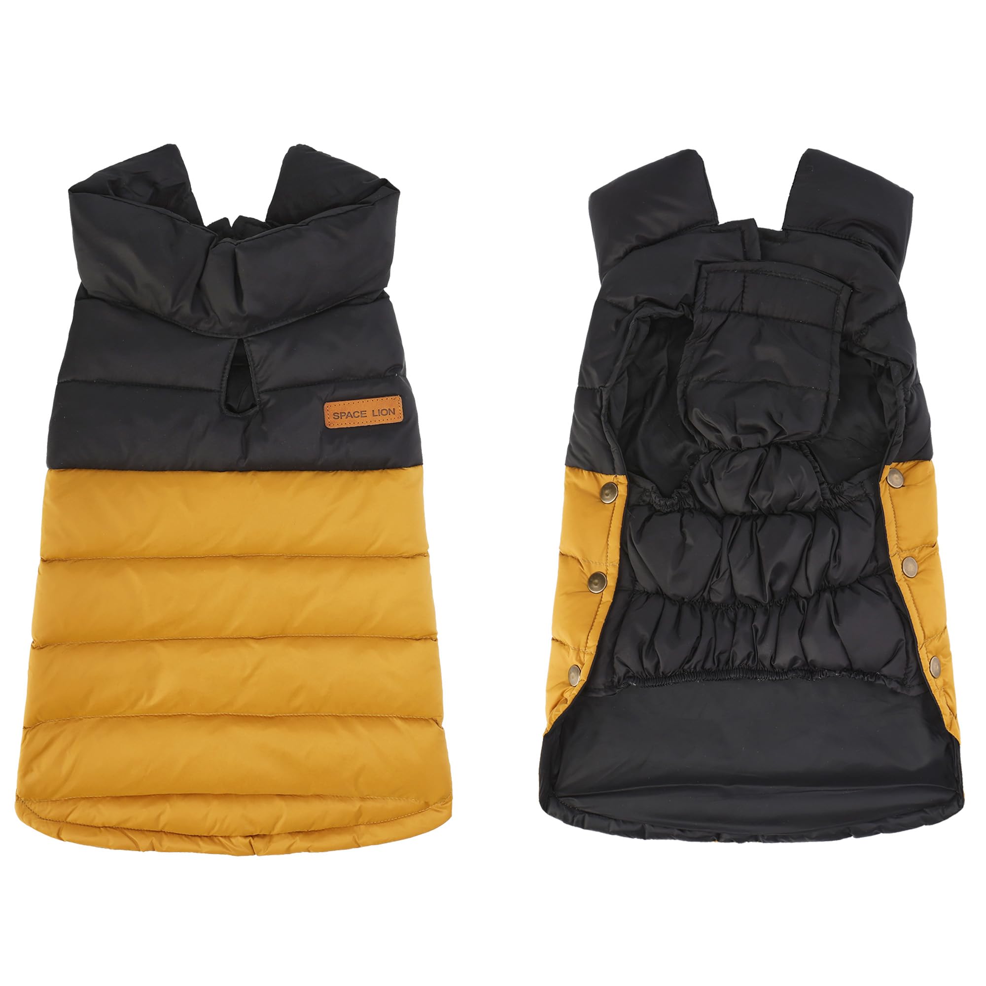 Space Lion chaqueta para perro, ideal para caminatas al aire libre con viento.