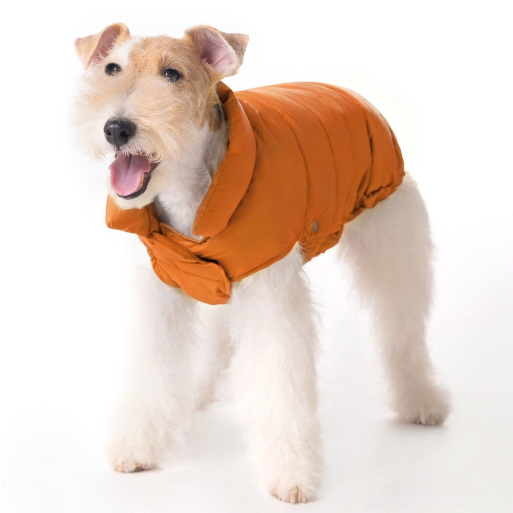 SPACE LION jaqueta puffer naranja frontal, ajuste cómodo para paseos fríos.