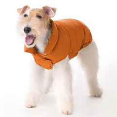 SPACE LION jaqueta puffer naranja frontal, ajuste cómodo para paseos fríos.