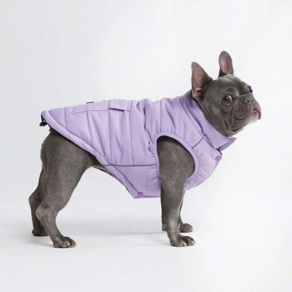 Spark Paws abrigo de invierno para perro lila, vista frontal para mantenerlo cálido