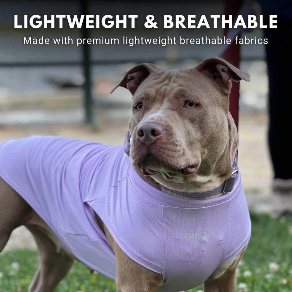 Ajuste cómodo de Spark Paws en tallas S a XXL para diversas razas.