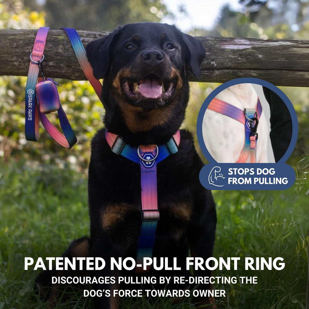 Spark Paws arnés ajustable para un ajuste personalizado y cómodo en razas grandes.