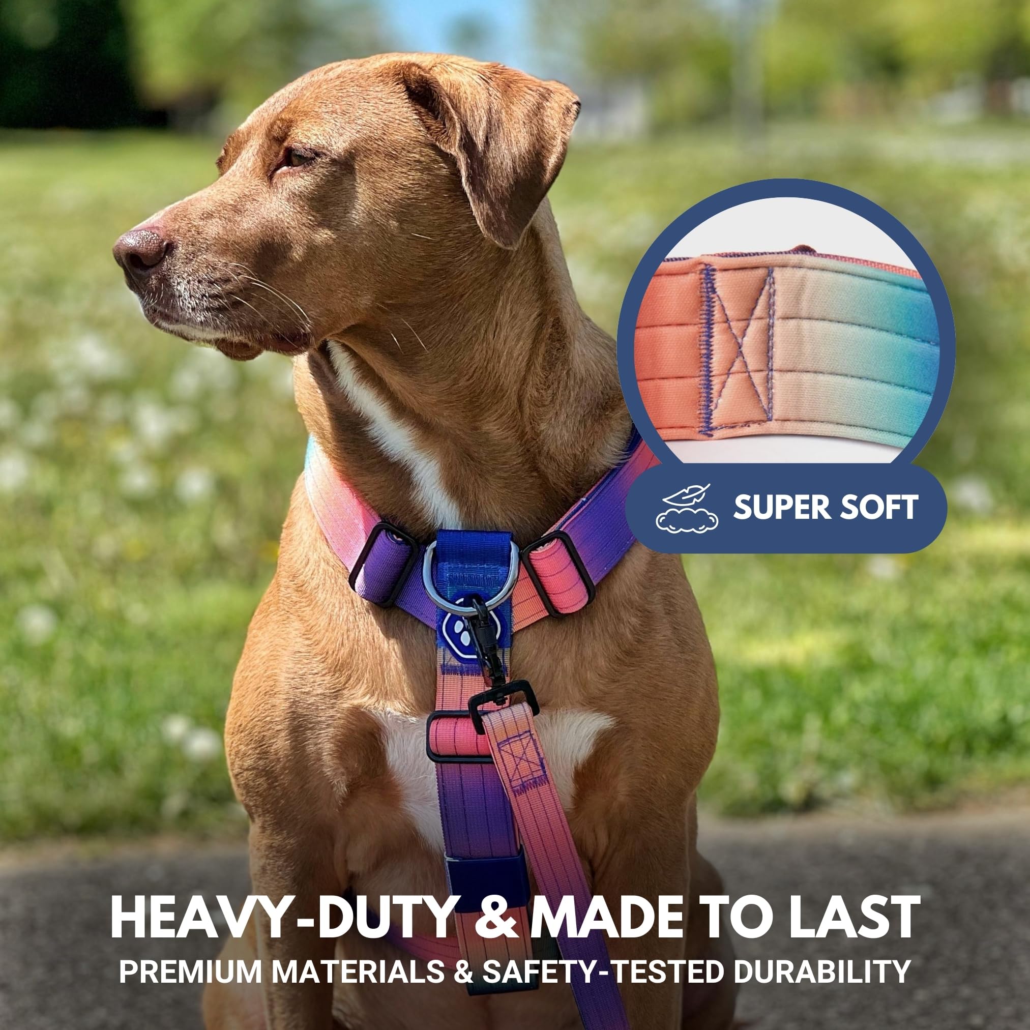 Spark Paws arnés estilo táctico para entrenamiento y aventuras al exterior.