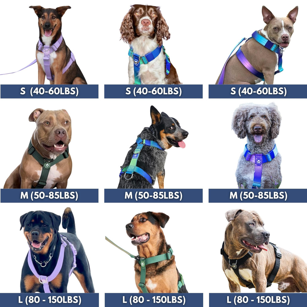 Spark Paws arnés sin tirones con cierre rápido y hebillas resistentes para paseos tranquilos.