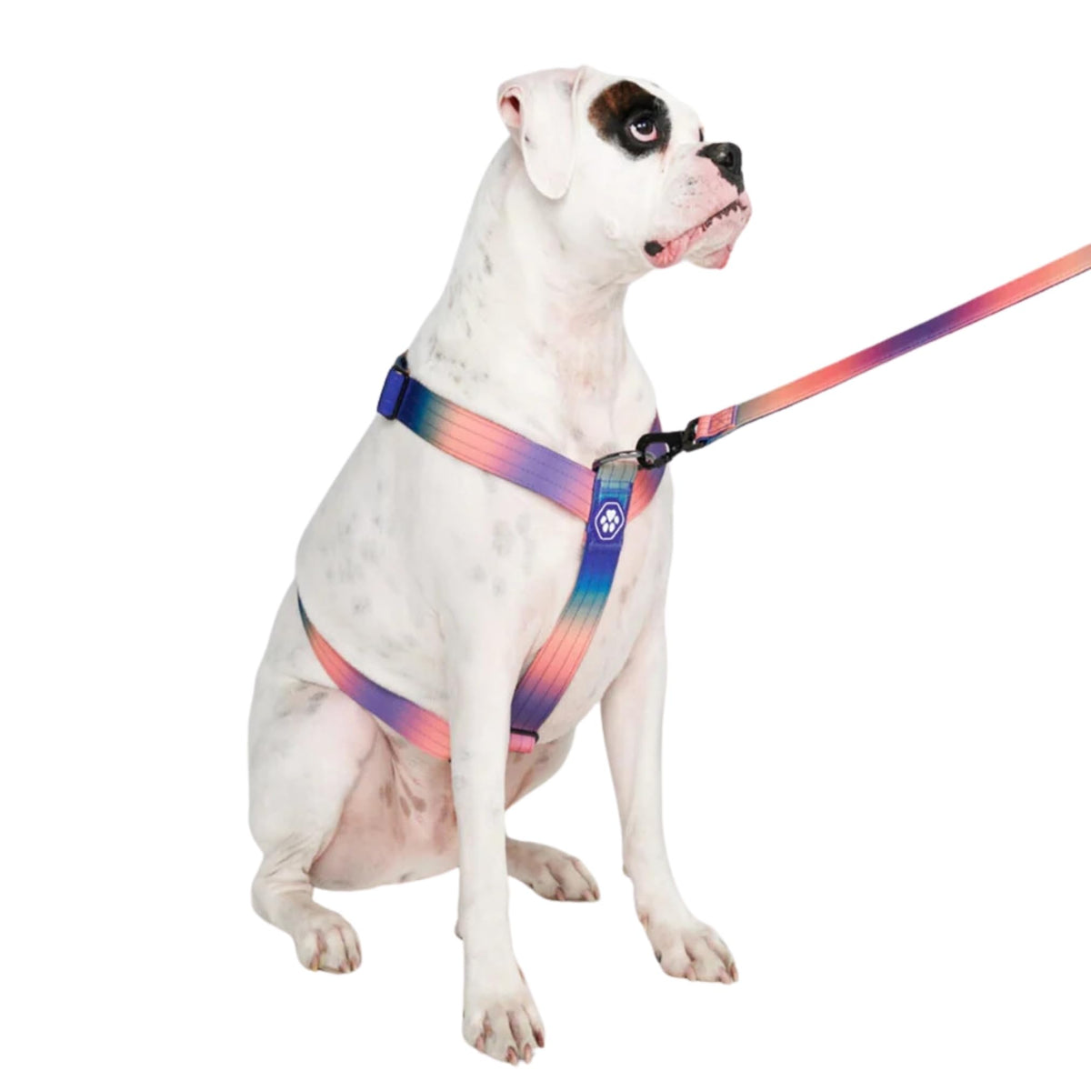 Spark Paws arnés sin tirones para perros grandes, vista frontal para control seguro.