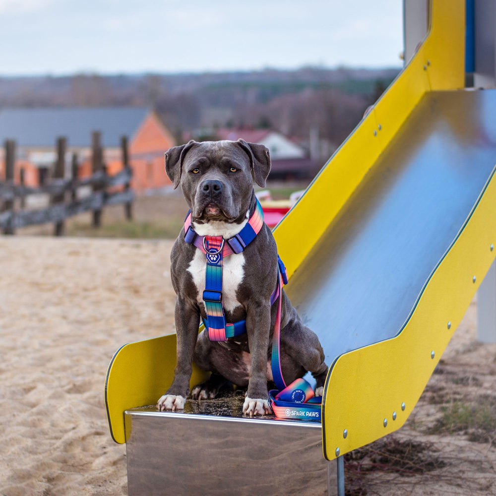 Spark Paws arnés para uso diario, compatible con correa y collar Spark Paws.