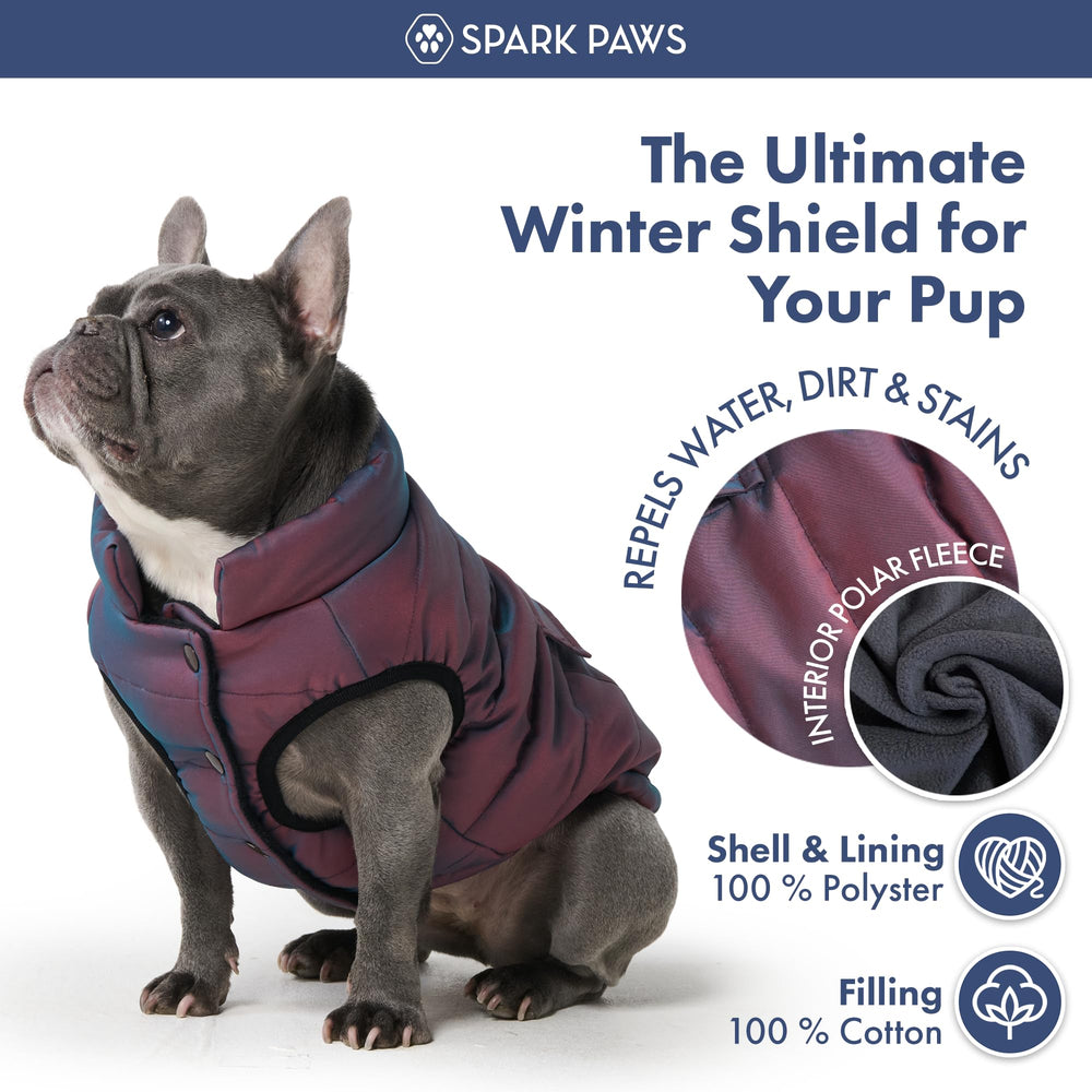 Bandas reflectantes para seguridad nocturna en Spark Paws cosmico 3XL