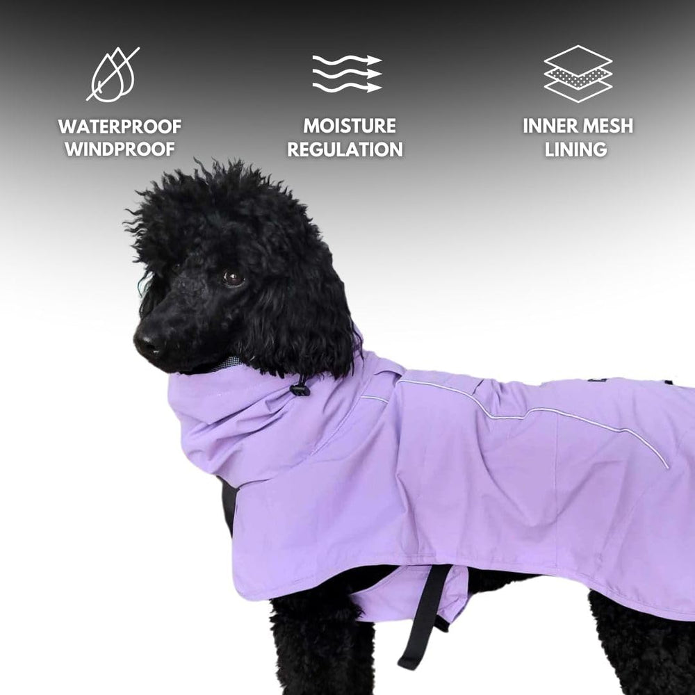 Spark Paws bandas reflectantes para mayor visibilidad nocturna.