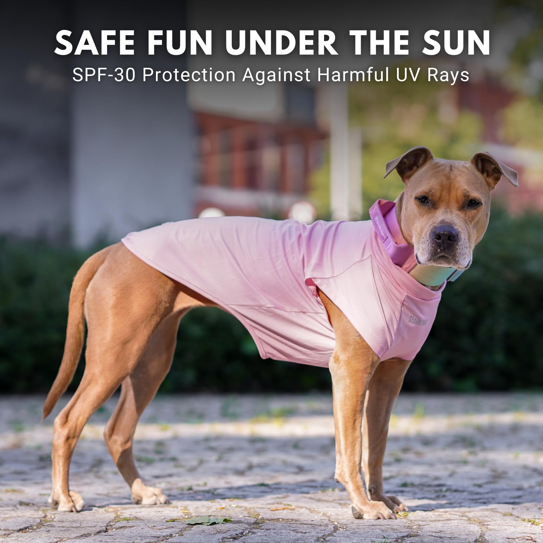 Camiseta Spark Paws que ayuda a evitar suciedad durante paseos.