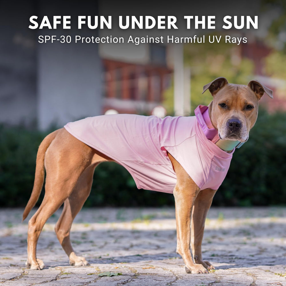 Camiseta Spark Paws que ayuda a evitar suciedad durante paseos.