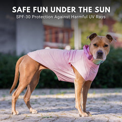 Camiseta Spark Paws que ayuda a evitar suciedad durante paseos.