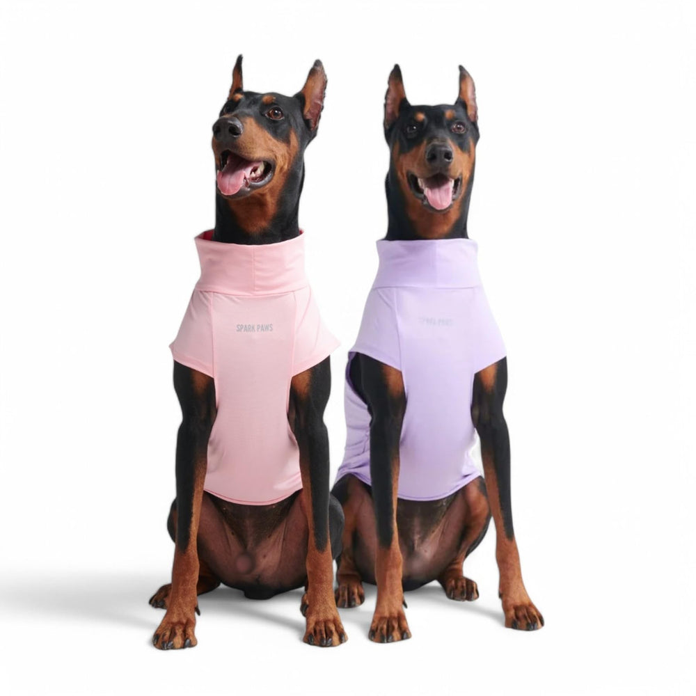 Spark Paws camiseta solar para perro, frontal, protección SPF30 para salir al exterior.