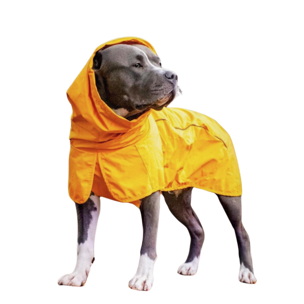 Spark Paws capa de lluvia para perro, cobertura total protege de la lluvia