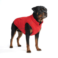 Spark Paws chaqueta invierno frente: protección contra viento y lluvia para perros activos