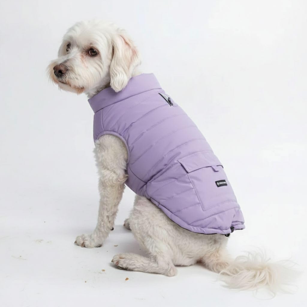 Spark Paws chaqueta de invierno para perro, vista frontal, protege del frío