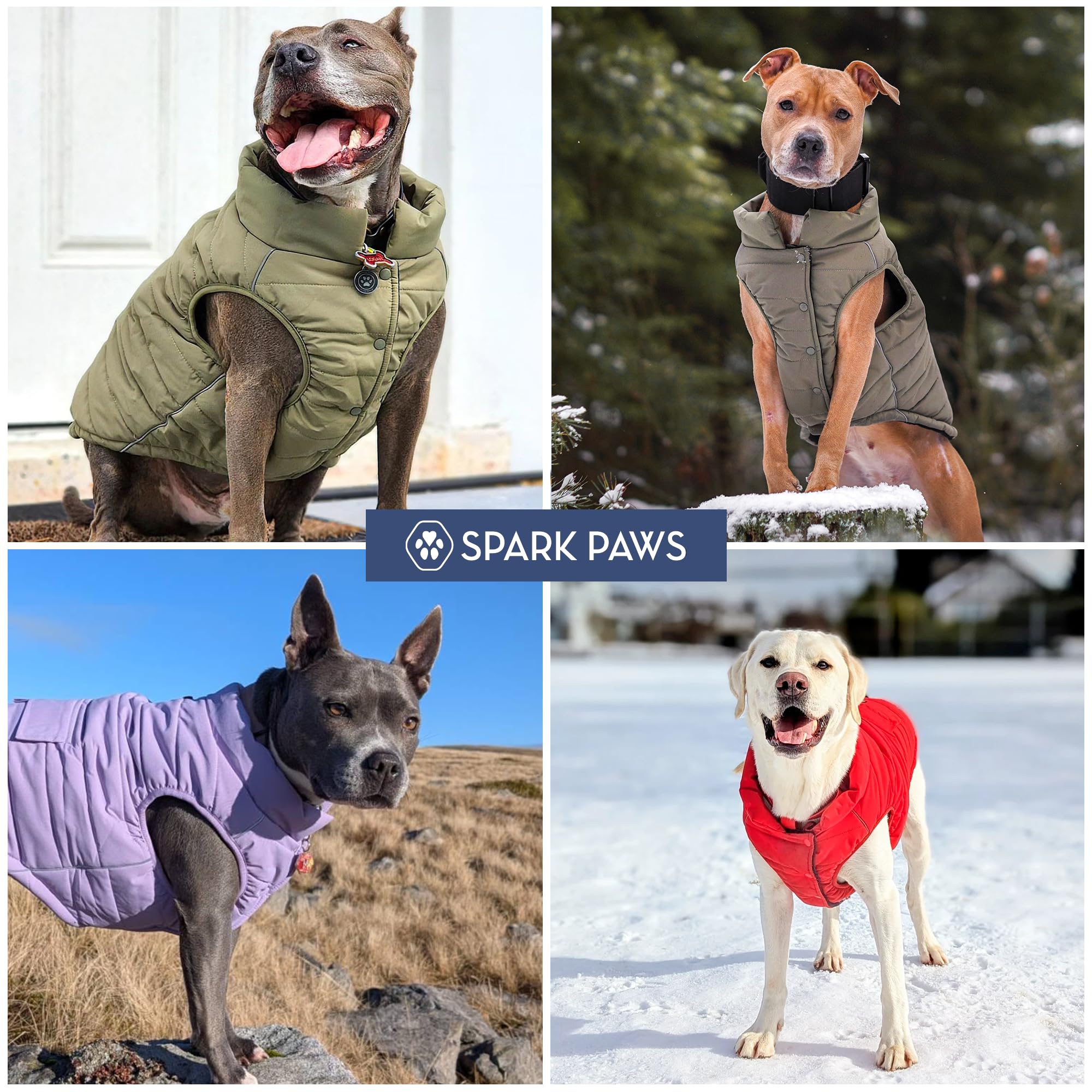 Spark Paws chaqueta invierno uso nocturno: ideal para paseos seguros tras el anochecer