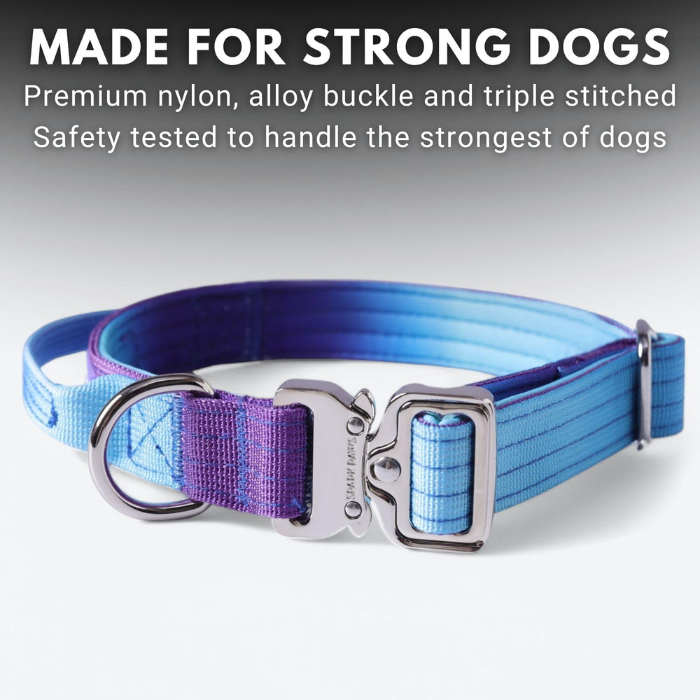 Spark Paws Collar con cierre rápido para colocación fácil y segura.