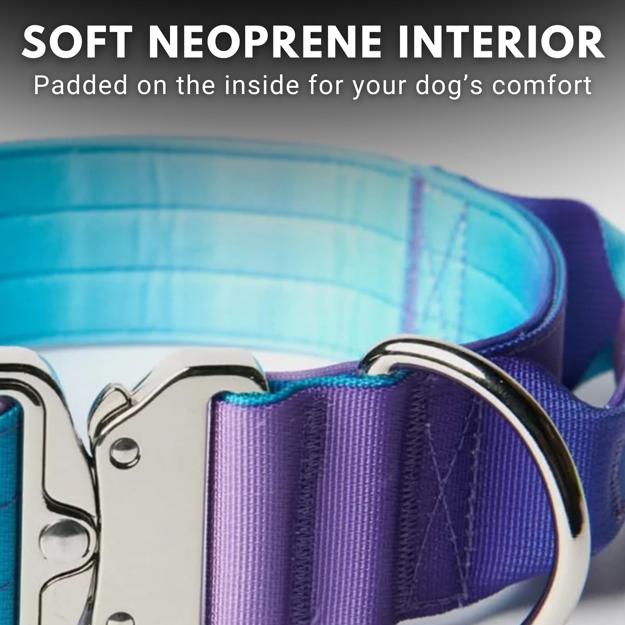 Spark Paws collar diseno-90s, enfoque diseno-90s, estilo retro atractivo para paseos.