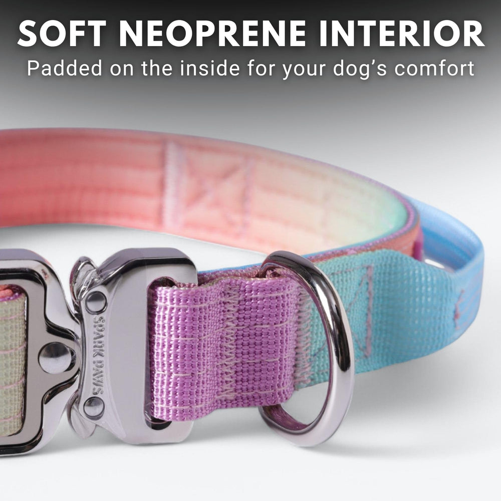 Spark Paws Collar de alta durabilidad para razas grandes y entrenamiento intenso.