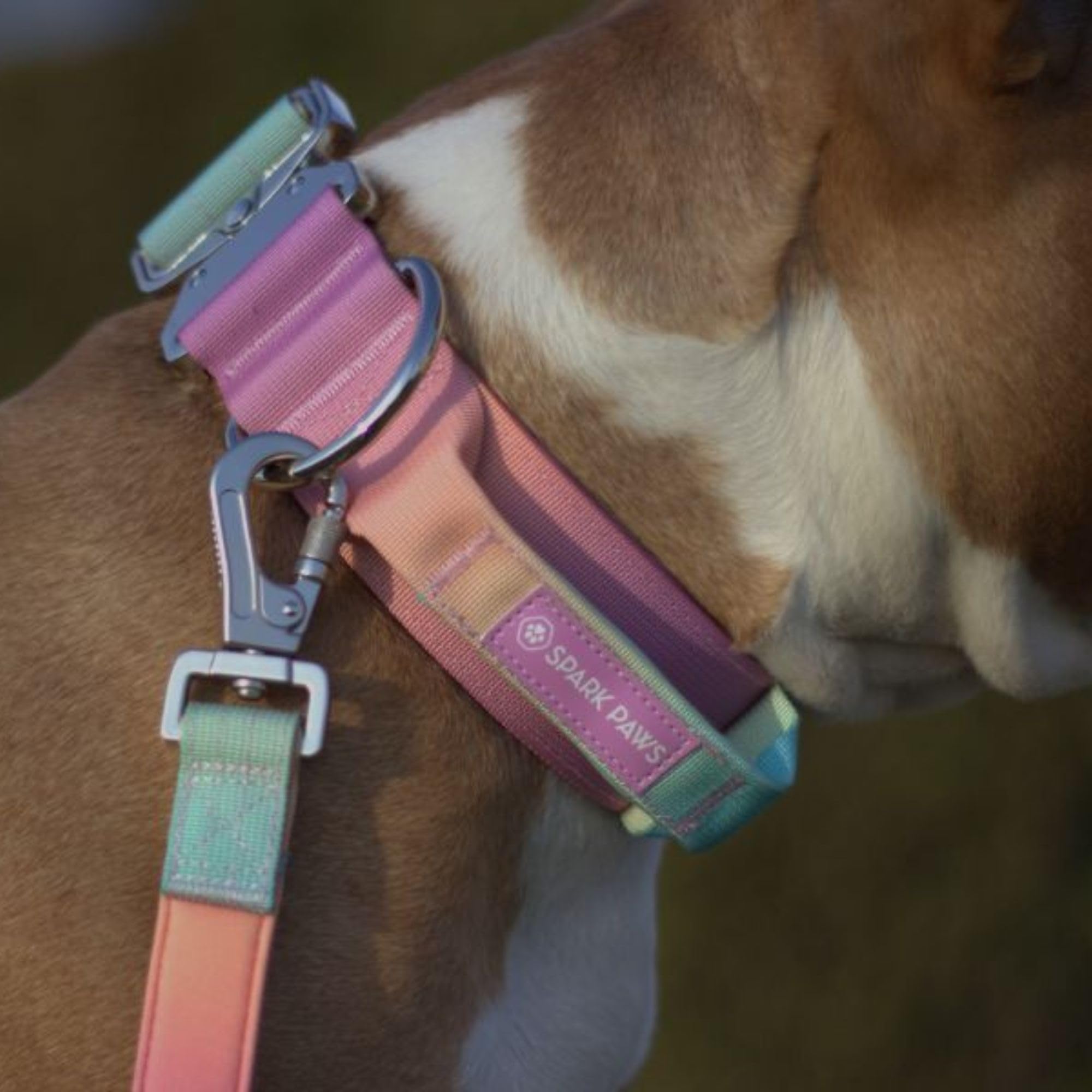 Spark Paws Collar ideal para entrenamiento, perro activo y sesiones de obediencia.