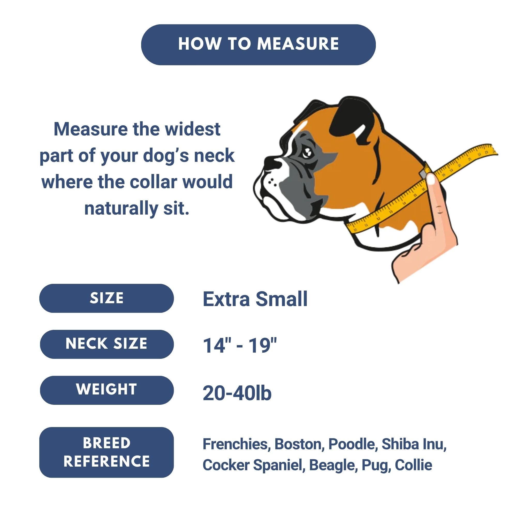 Spark Paws Collar Táctico, hebilla de aleación metálica para durabilidad y seguridad.