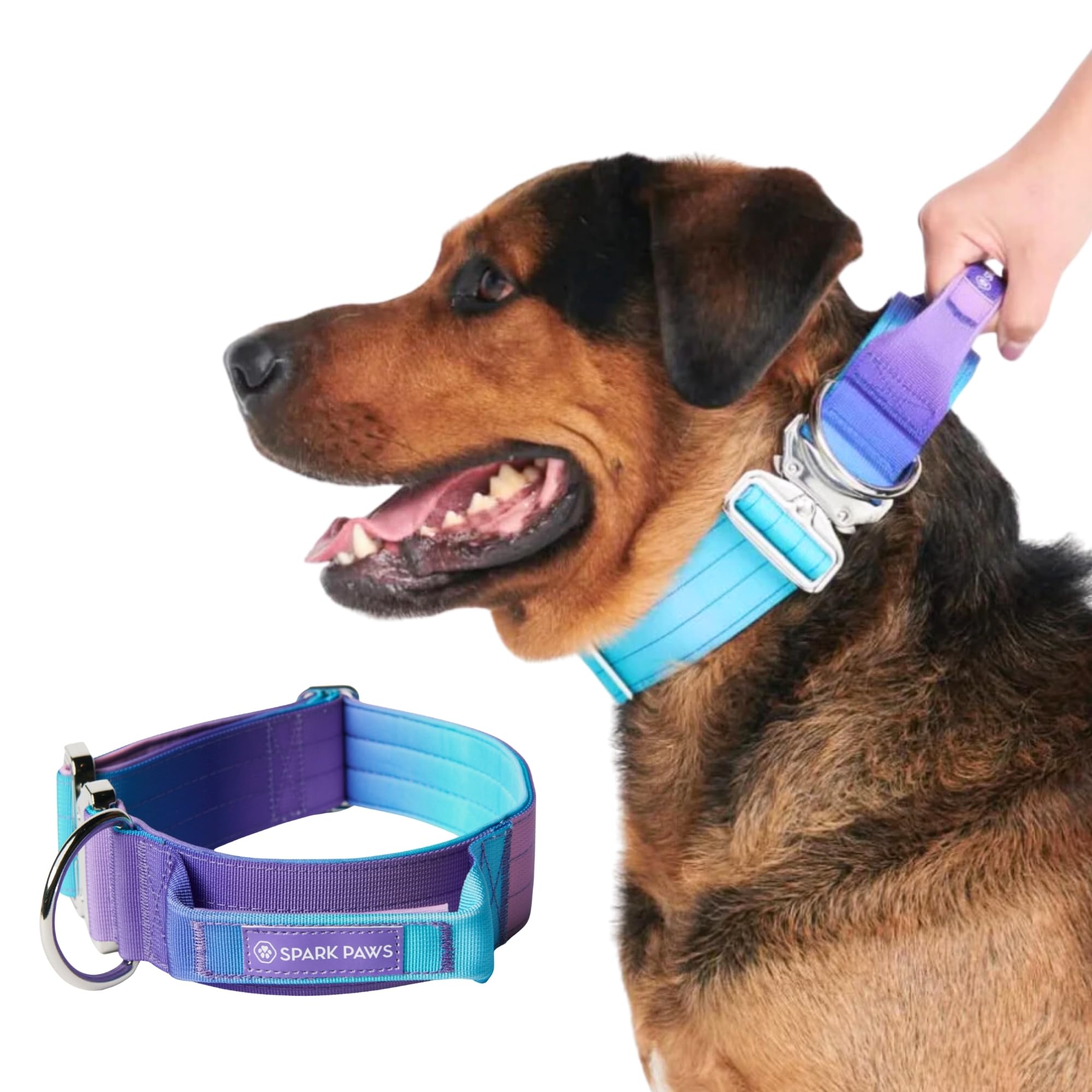 Spark Paws collar nylon-alta-resistencia, enfoque nylon-alta-resistencia, ideal para paseos diarios y durabilidad.