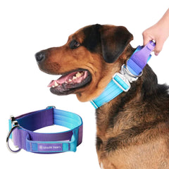 Spark Paws collar nylon-alta-resistencia, enfoque nylon-alta-resistencia, ideal para paseos diarios y durabilidad.