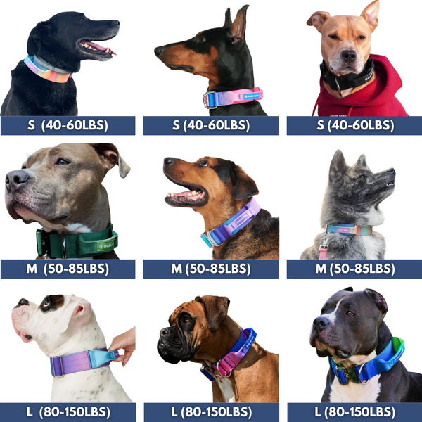 Spark Paws Collar Táctico cierre rápido: colocación fácil y segura