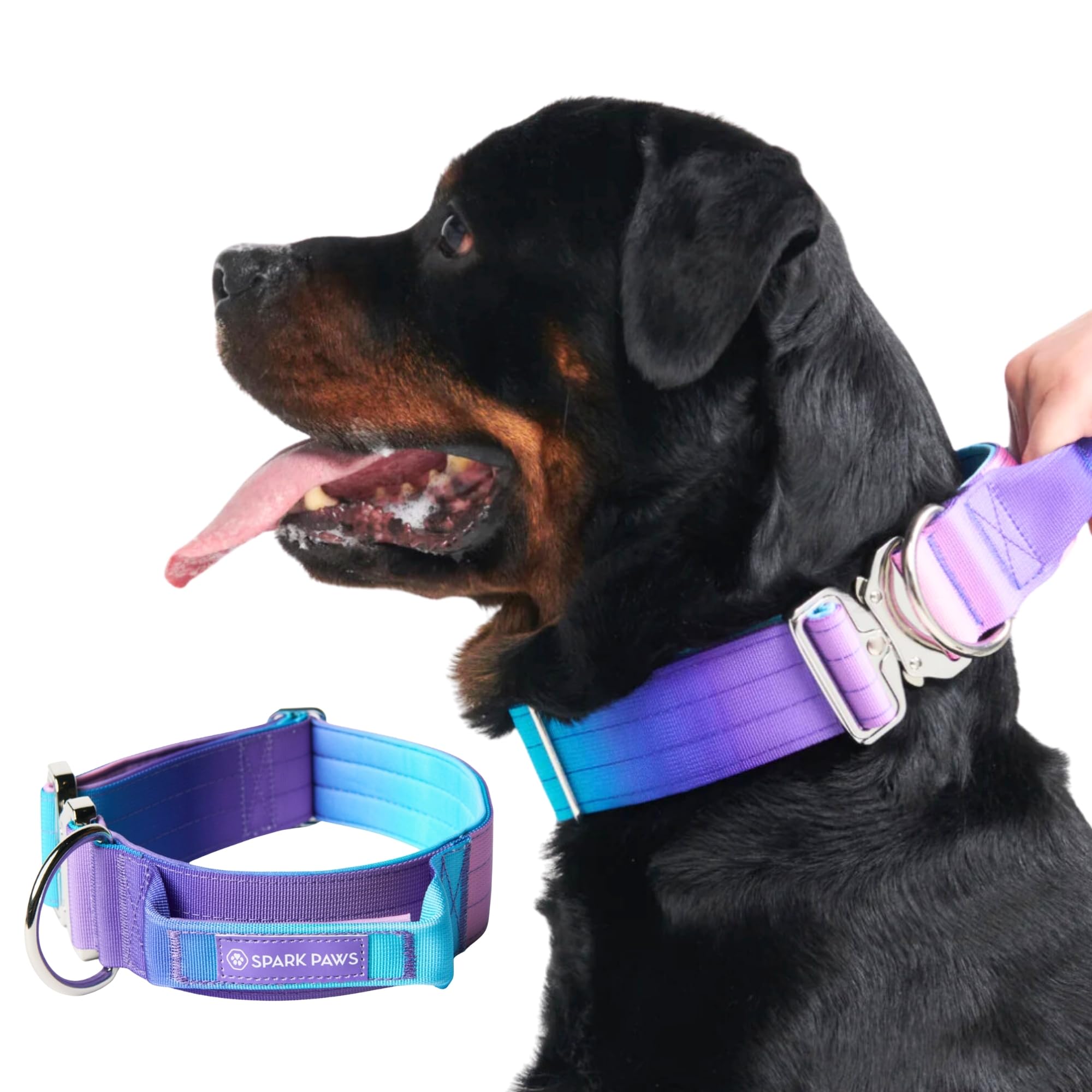 Spark Paws Collar Táctico frente: collar resistente para paseos seguros