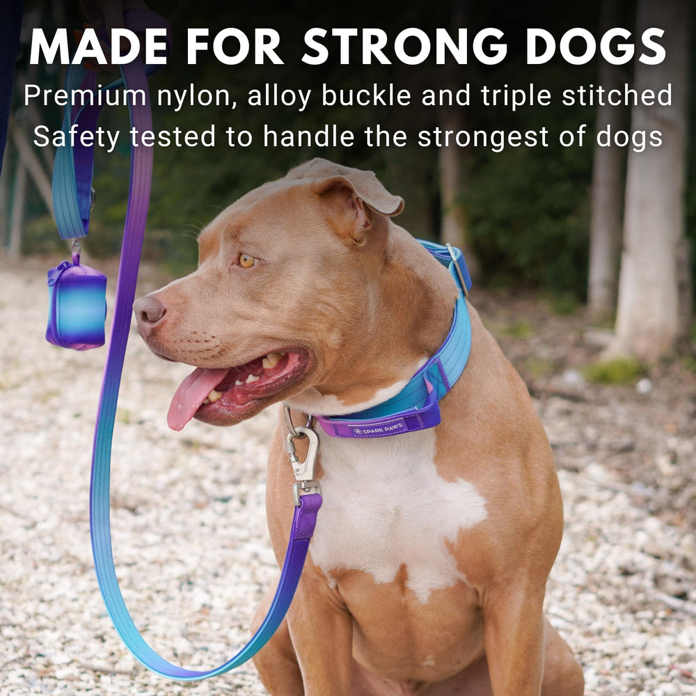 Spark Paws Collar Táctico hebilla de aleación: duradera para salidas intensas