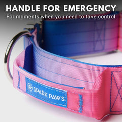 Spark Paws collar táctico interior de neopreno para mayor confort
