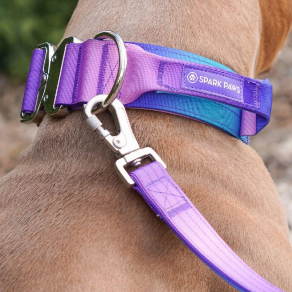 Spark Paws Collar Táctico material poliester: resistencia para perros activos