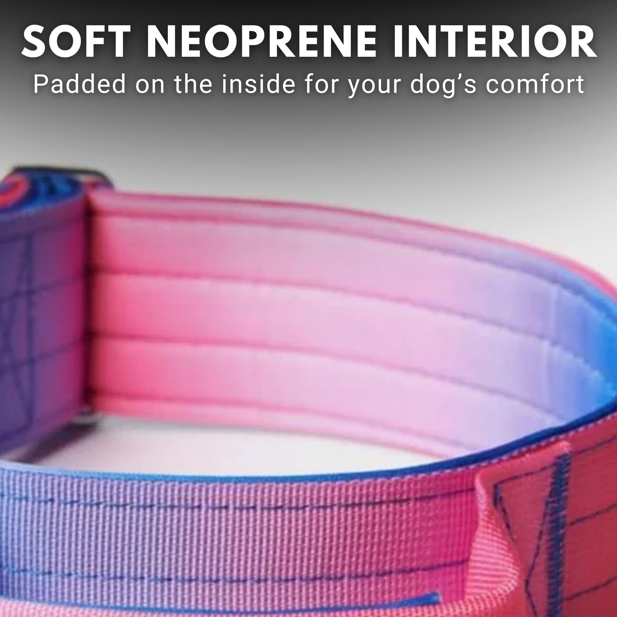 Spark Paws collar táctico con materiales resistentes para razas grandes