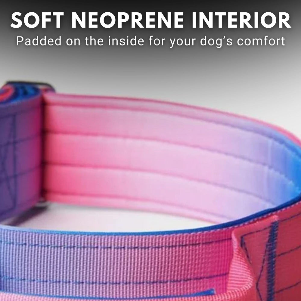 Spark Paws collar táctico con materiales resistentes para razas grandes