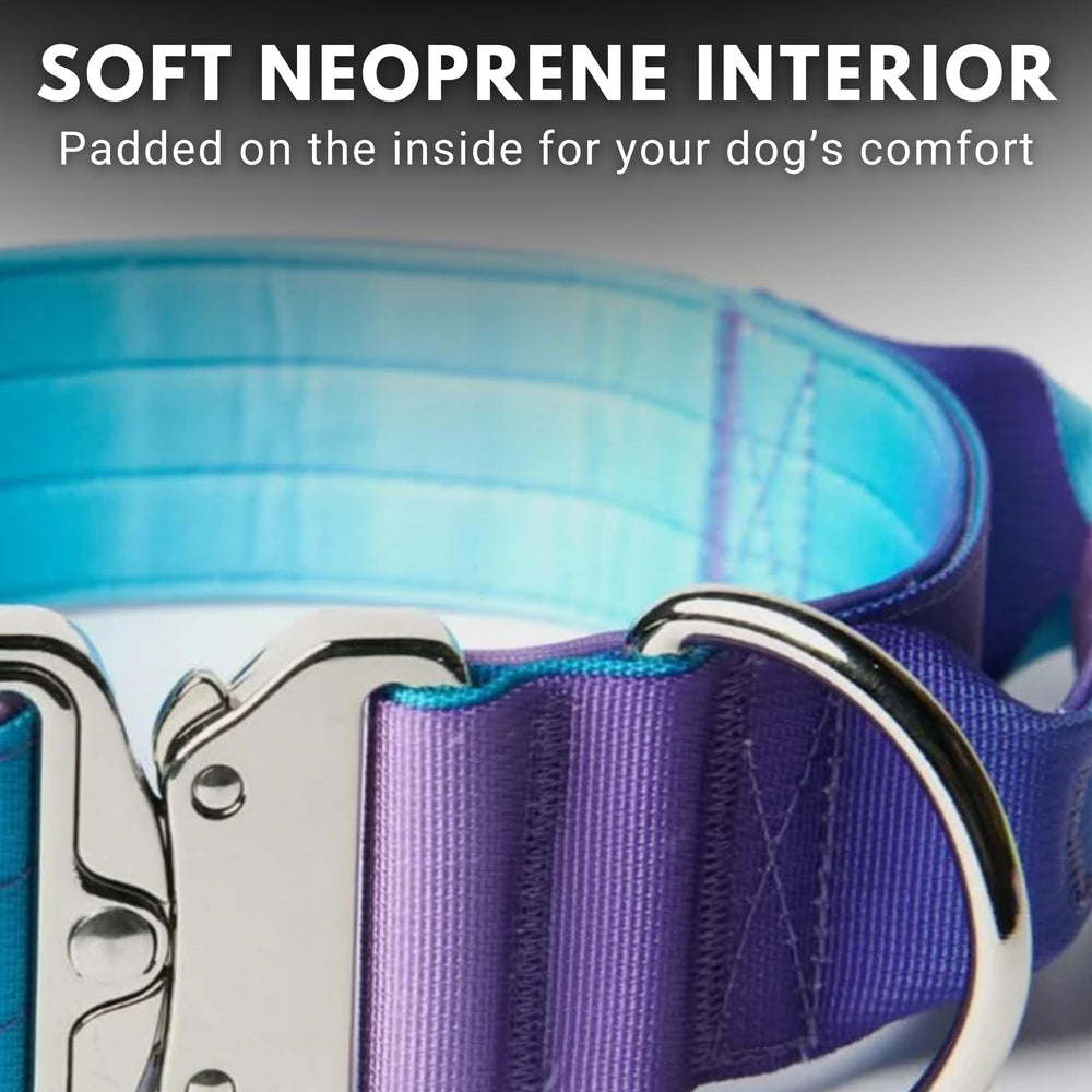 Spark Paws Collar Táctico uso en entrenamiento: control seguro y útil