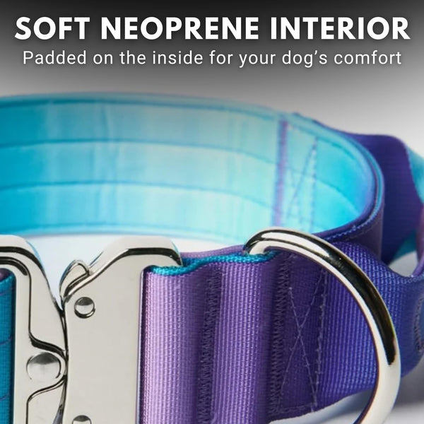 Spark Paws Collar Táctico uso en entrenamiento: control seguro y útil
