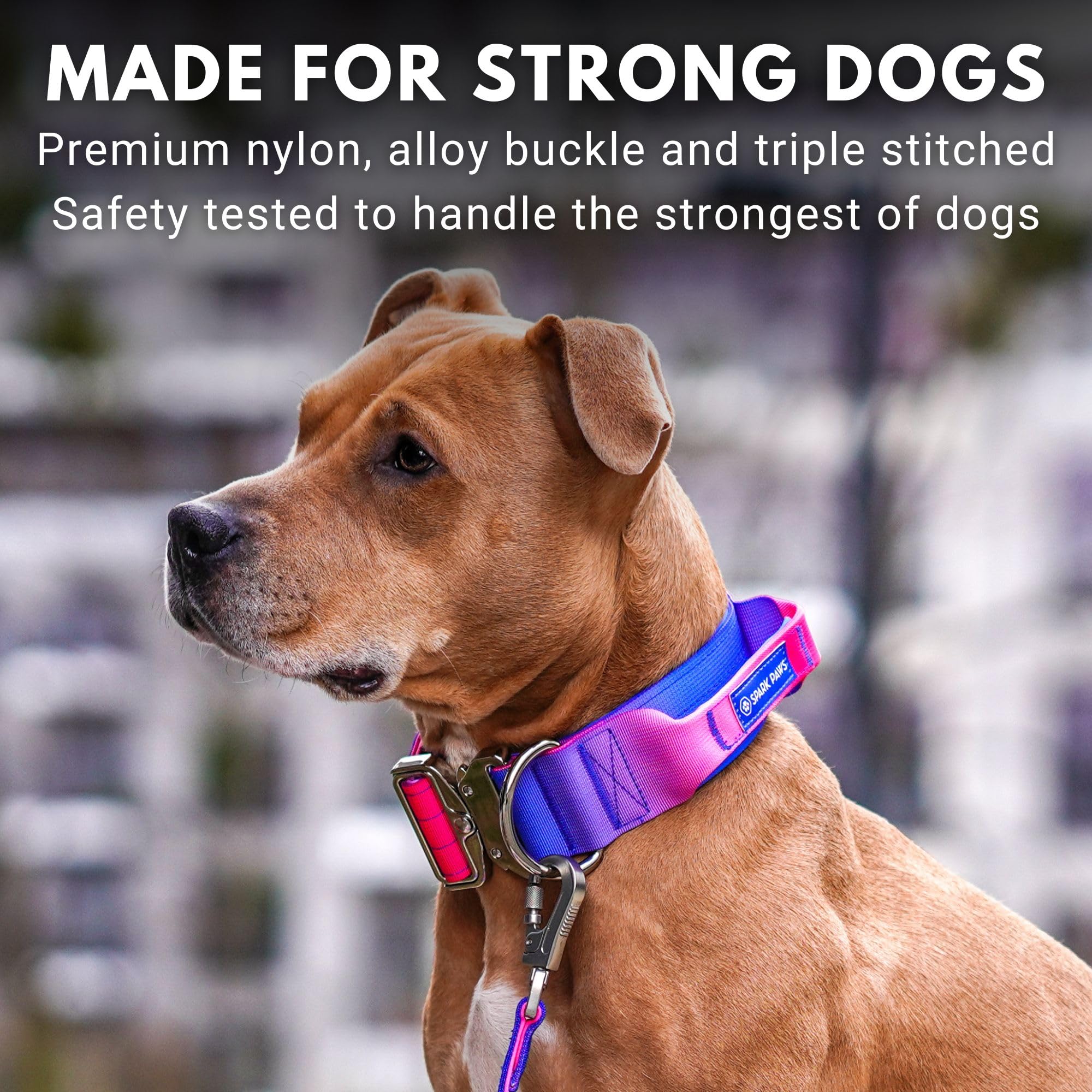 Spark Paws collar táctico ideal para paseos y actividades al aire libre