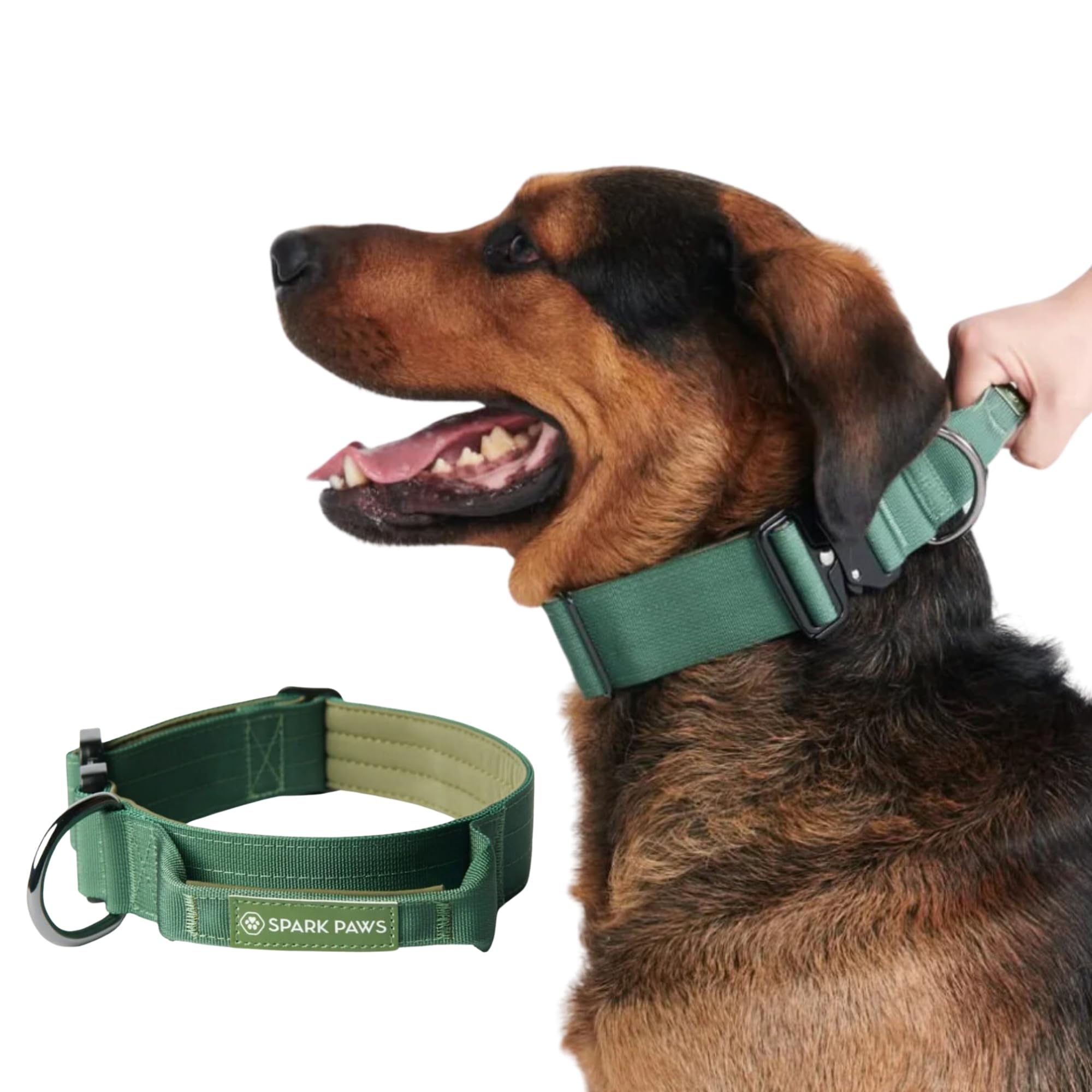 Collar táctico Spark Paws verde con cierre de aleación para mayor durabilidad.