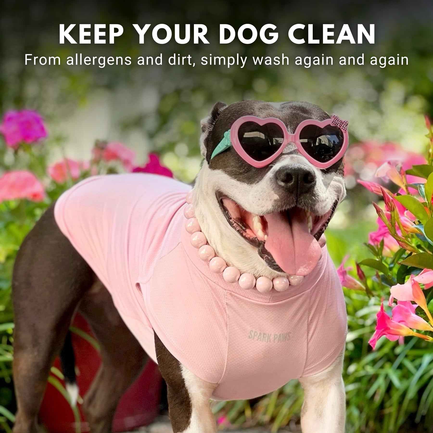 Conjunto Spark Paws en morado y rosado, estilo y protección para el verano.