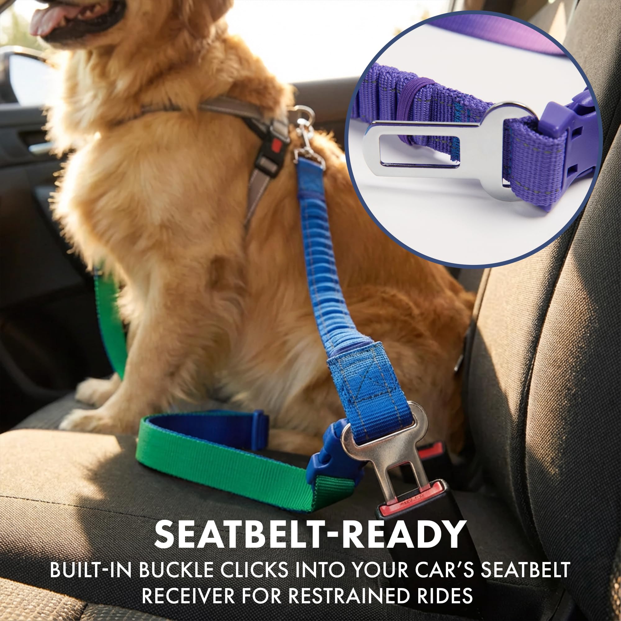 Spark Paws Correa Resistente Táctica: diseñada para perros grandes y activos.