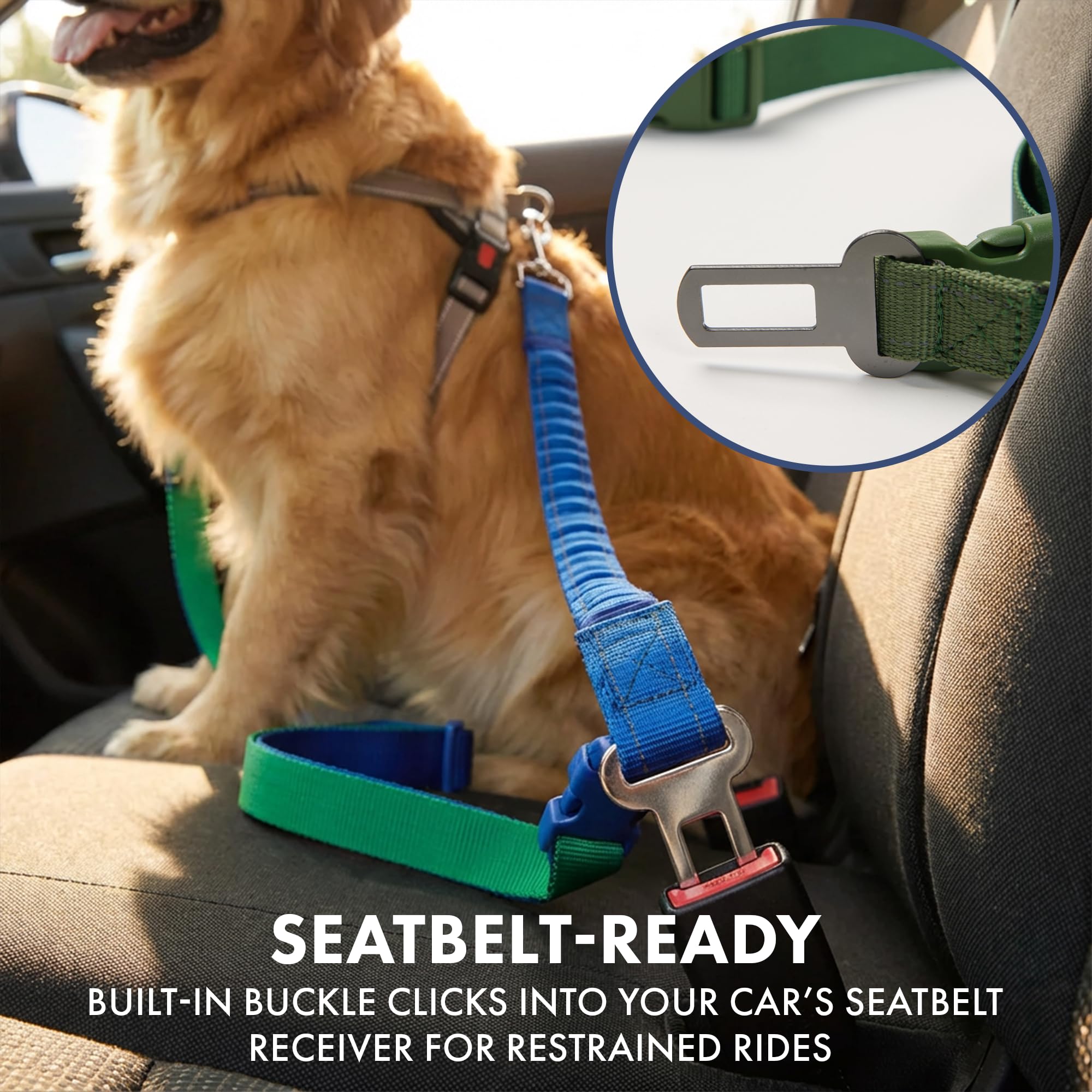 Spark Paws correa táctica resistente: perfecta para razas grandes y enérgicas