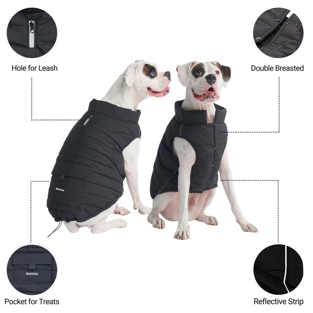 Spark Paws correas reflectantes para mayor visibilidad nocturna