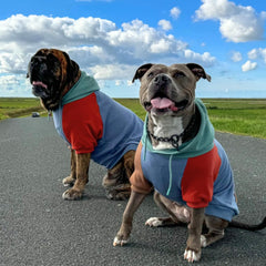 Spark Paws Hoodie Alpine L ajuste de pecho amplio, cómodo para razas grandes.