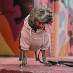 Spark Paws sudadera para perros - Detrás: silueta amplia para pecho ancho.