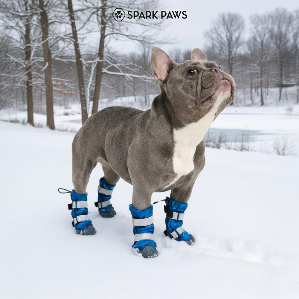 Spark Paws guía de medición de patitas para talla precisa.