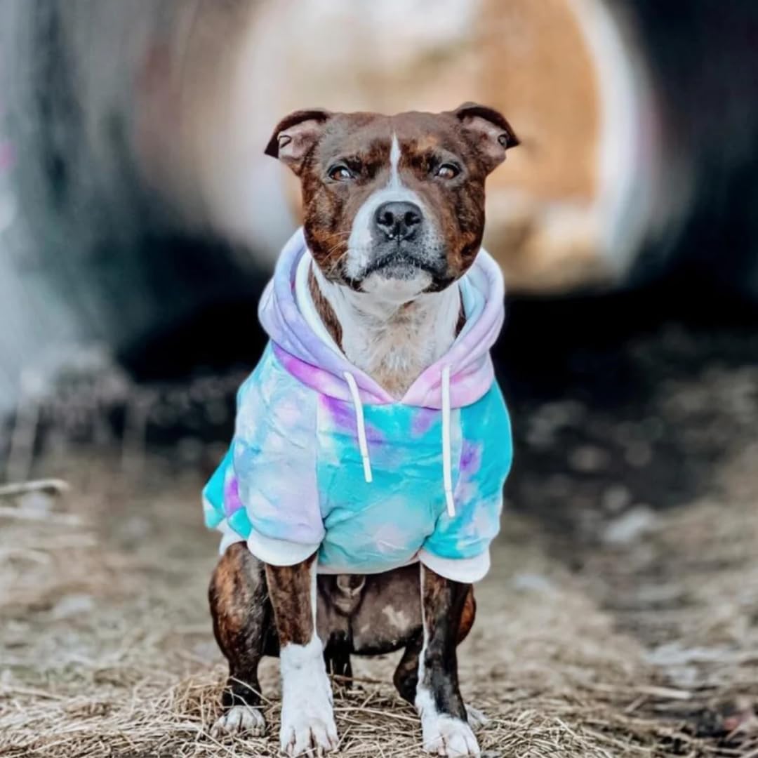 Spark Paws Hoodie puntadas duraderas para uso diario.