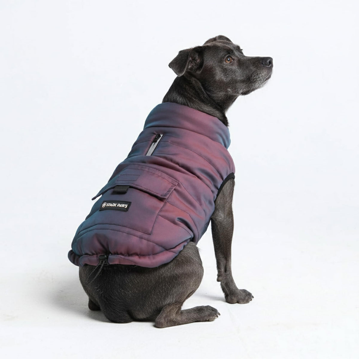 Spark Paws chaqueta invierno cosmico 3XL en perro, protección al frio