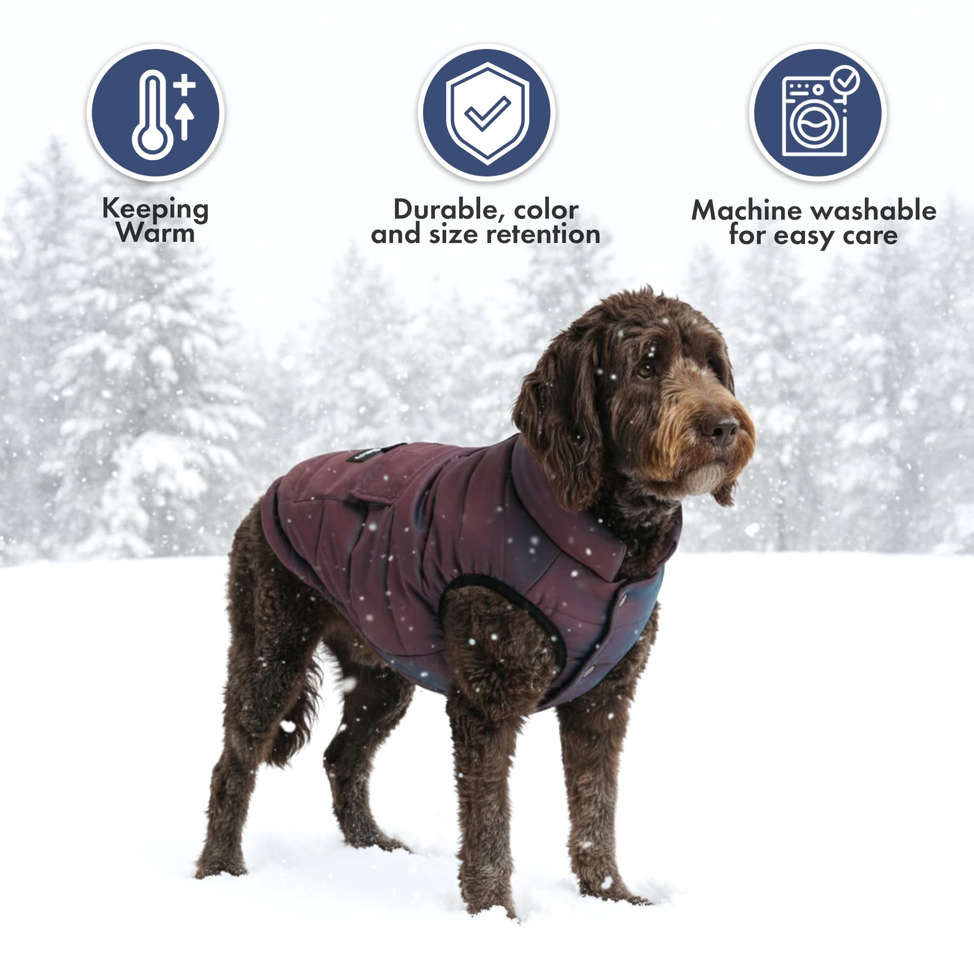 Perro caminando en nieve con Spark Paws cosmico 3XL