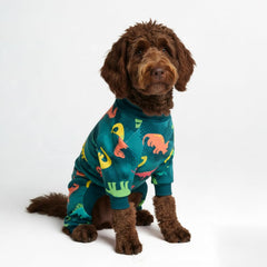 Spark Paws Pijama para perros, vista frontal, confort de dinosaurios para paseos diarios